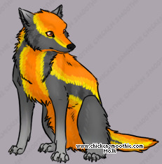 Pet