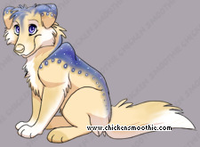 Pet