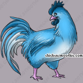Pet