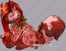 Pet