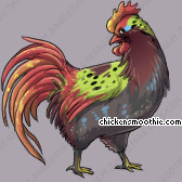 Pet