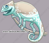 Pet