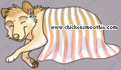 Pet