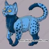 Pet