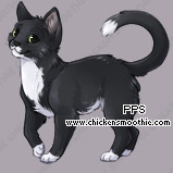 Pet