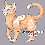 Pet