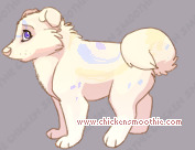 Pet