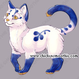 Pet
