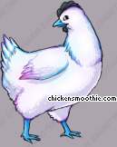Pet