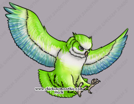 Pet