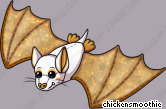 Pet