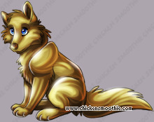 Pet