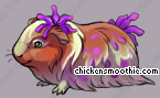 Pet