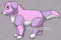 Pet