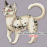 Pet