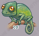 Pet