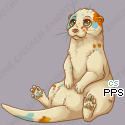 Pet