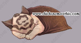 Pet