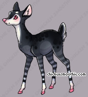 Pet