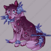 Pet