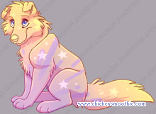 Pet