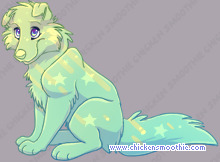 Pet