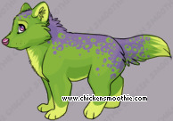 Pet