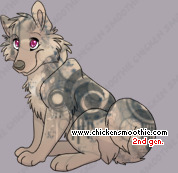 Pet