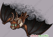 Pet