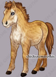 Pet