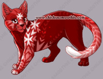 Pet
