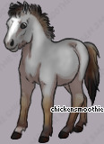 Pet