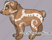 Pet