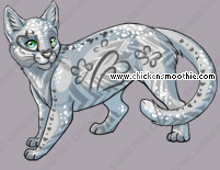 Pet