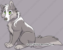 Pet