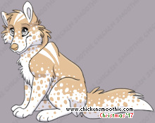 Pet