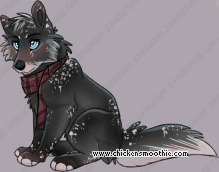 Pet