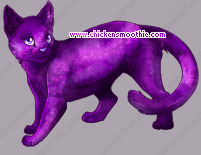 Pet