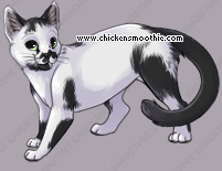 Pet