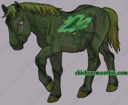 Pet