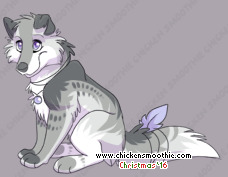 Pet