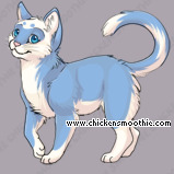 Pet