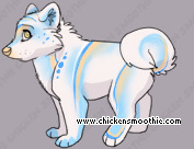 Pet