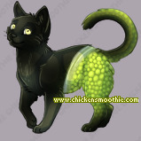 Pet
