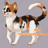 Pet