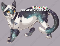 Pet