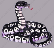 Pet