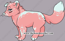 Pet