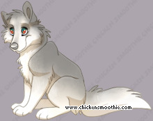 Pet