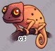 Pet
